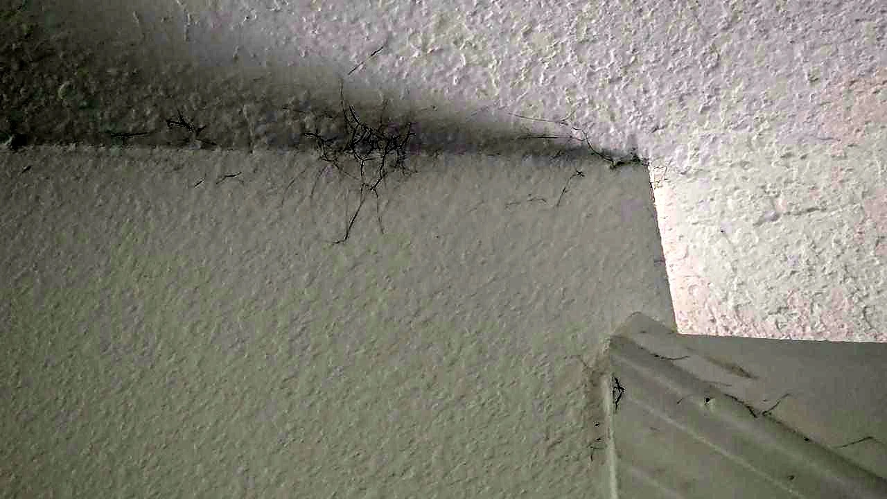 Dark smoke residue along a ceiling junction in the affected home.