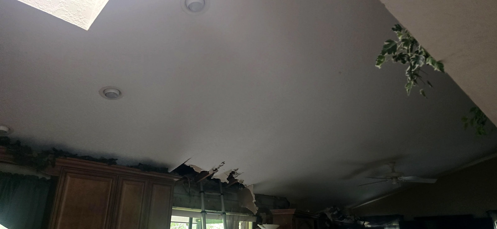 Daños en el borde del cielo raso sobre la zona de la ventana de la cocina.