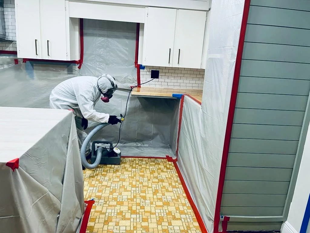 Mold Remediation service visual