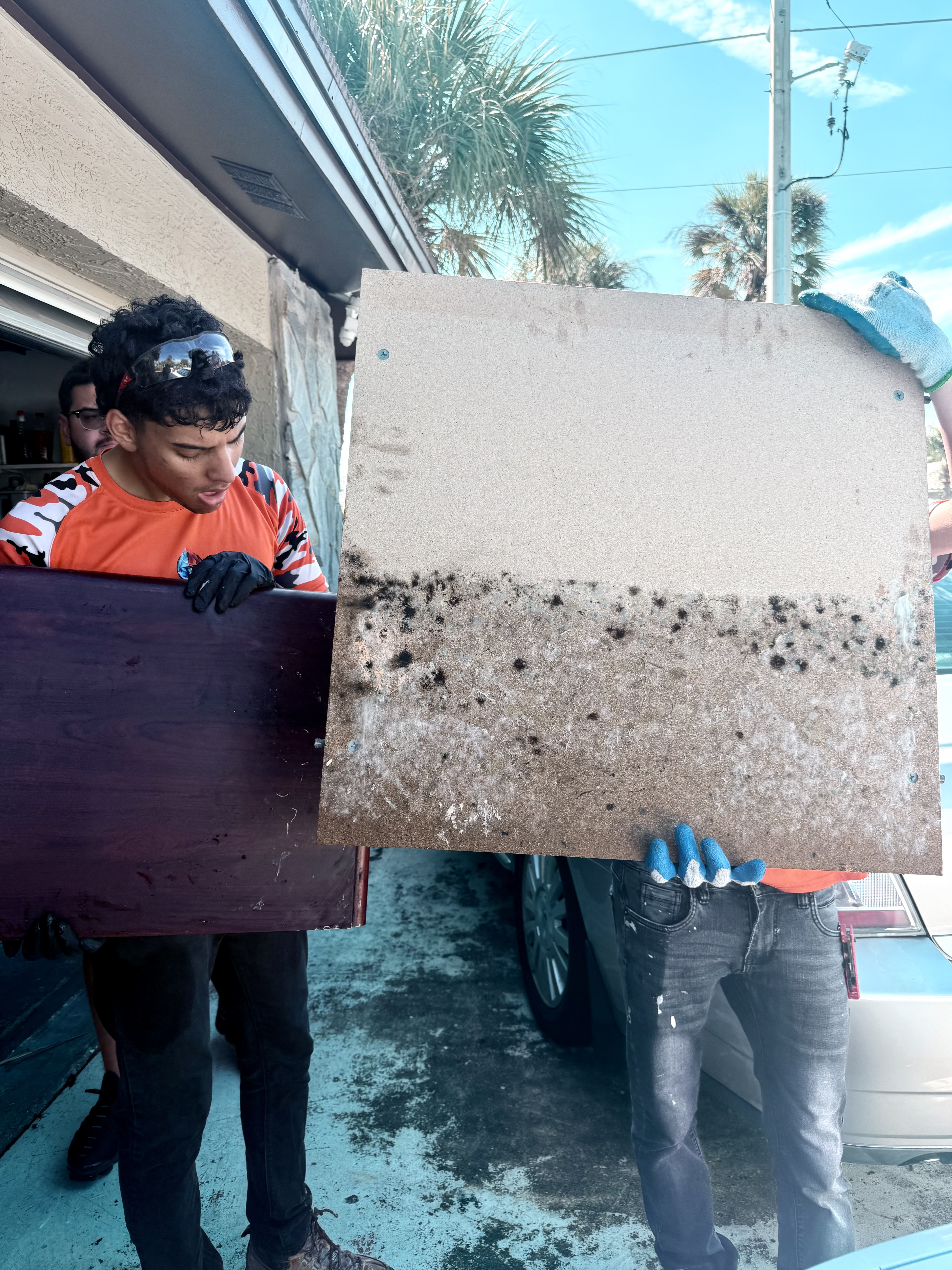 Mold Remediation service visual