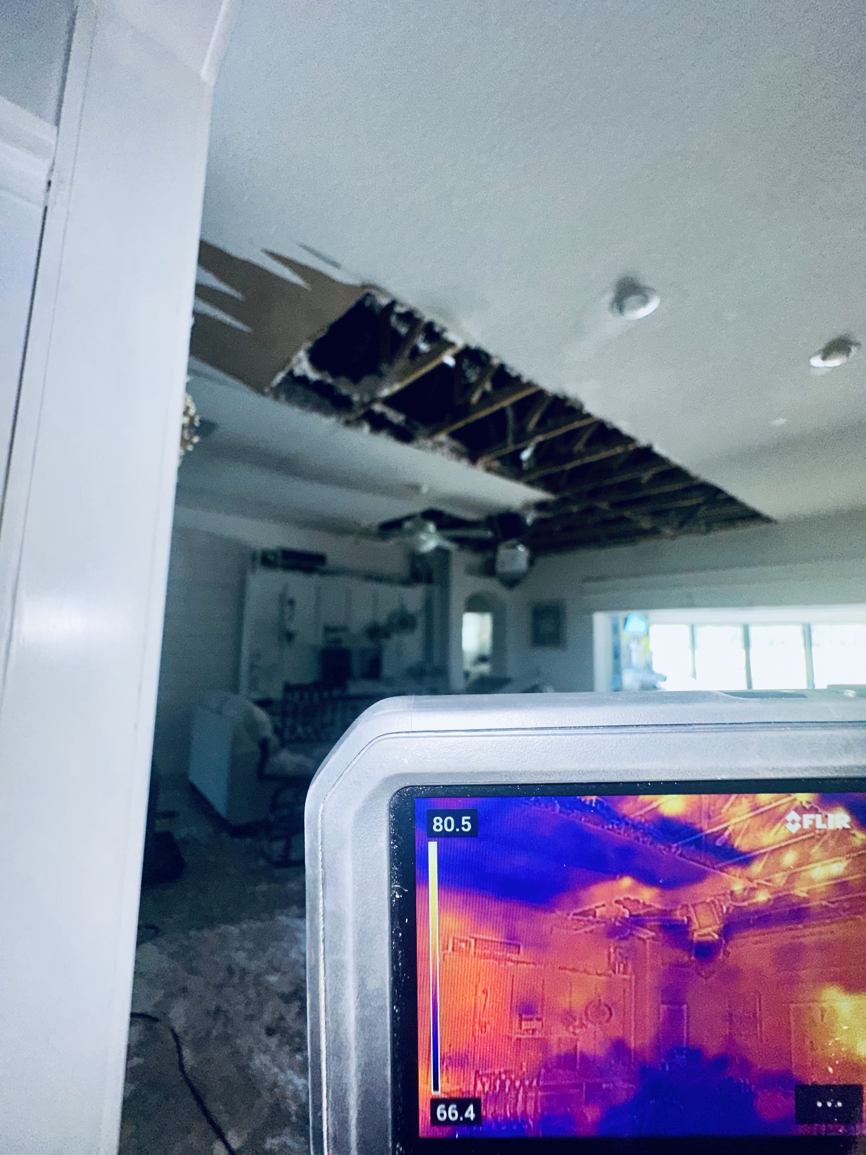 Water Damage Restoration service visual
