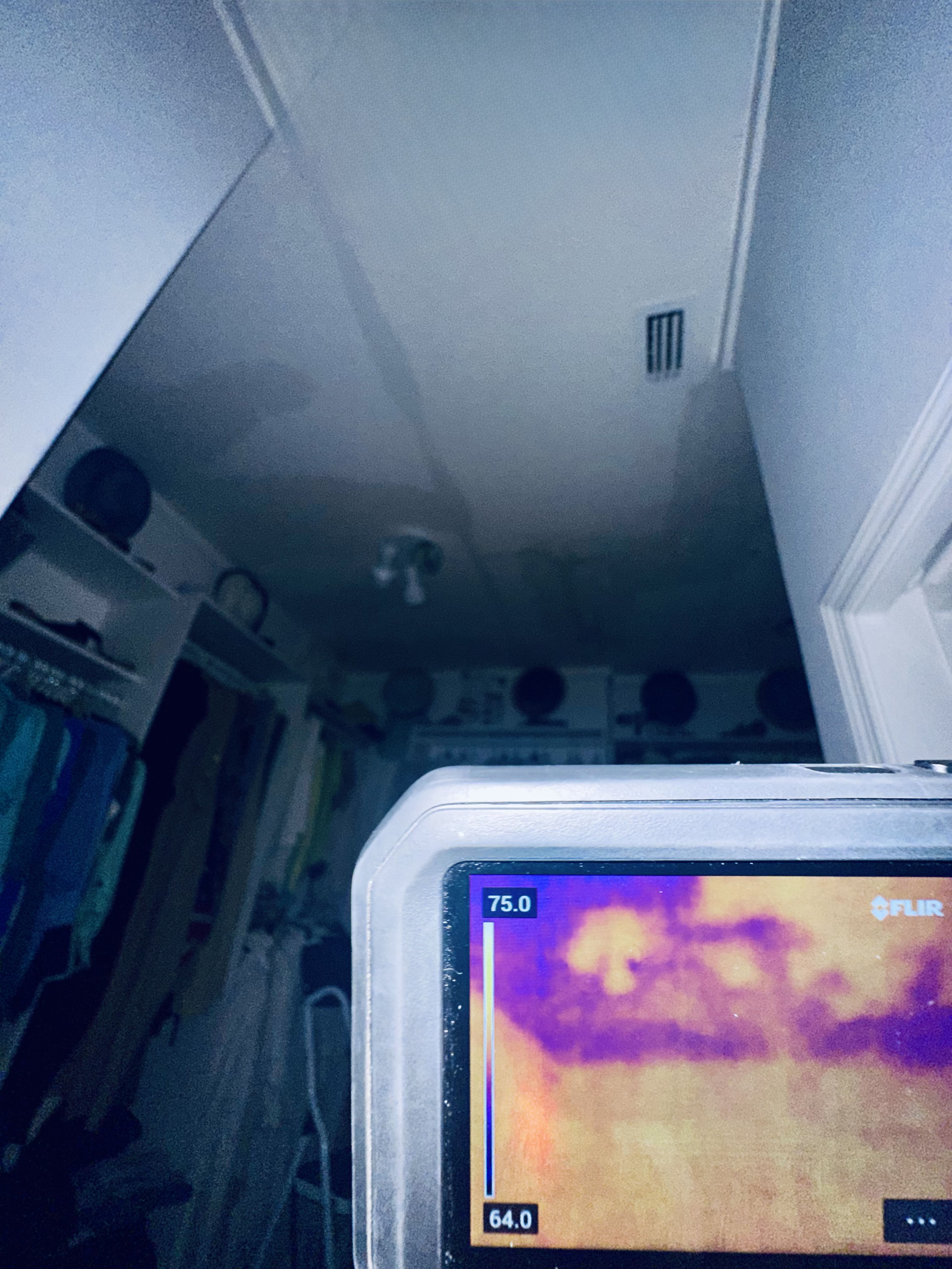 Roof Leak Water Damage service visual