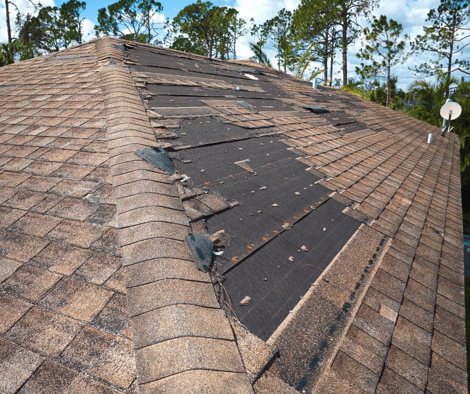 Roof Leak Water Damage service visual
