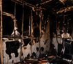 fire restoration: before, from the supplied visual reference