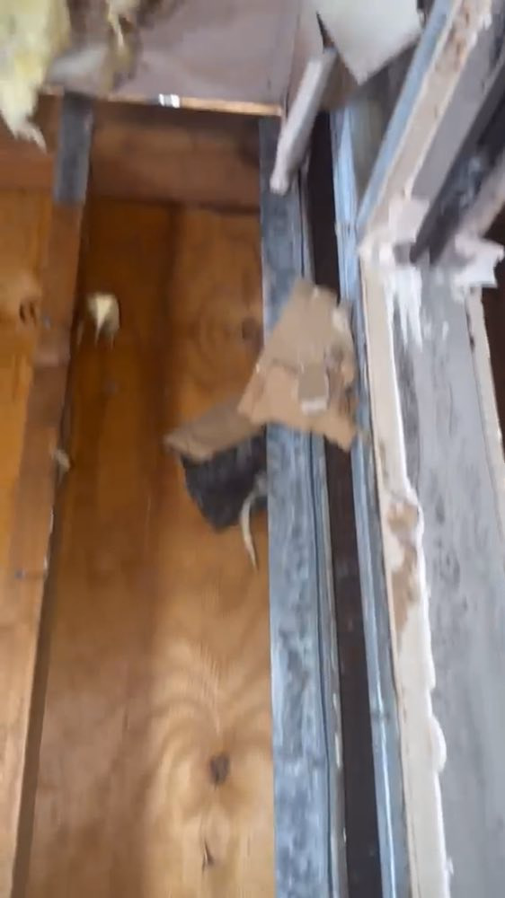 Premye plan ankadreman ekspoze bò yon fenèt