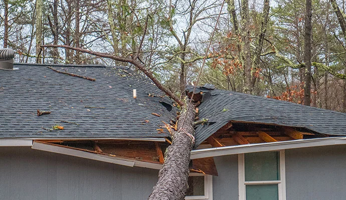 Tree impact damage across a residential roof