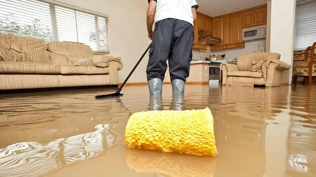 Water Damage Restoration service visual