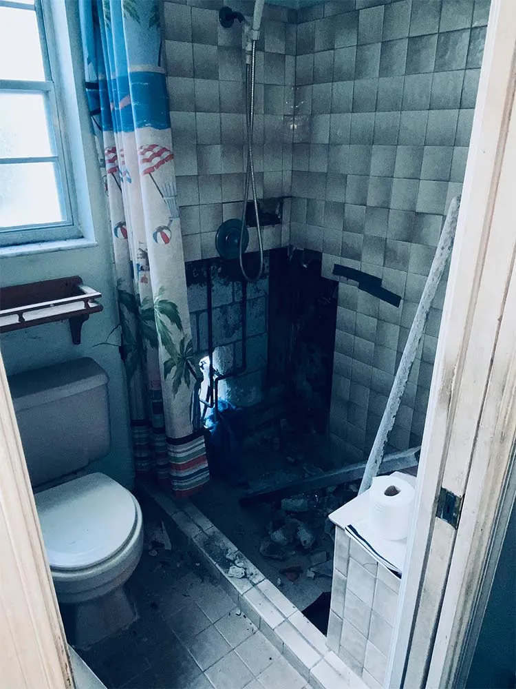 Mold remediation affected area inspection